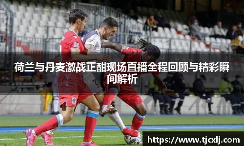 荷兰与丹麦激战正酣现场直播全程回顾与精彩瞬间解析