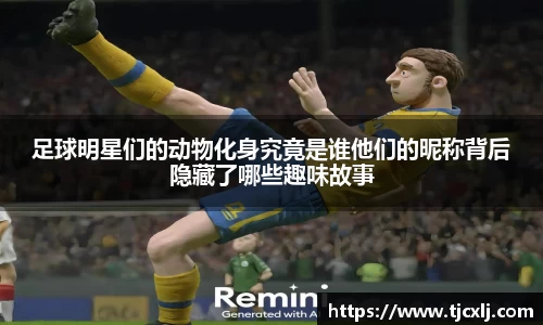 足球明星们的动物化身究竟是谁他们的昵称背后隐藏了哪些趣味故事